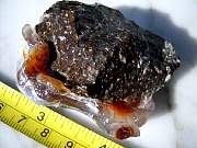 DSCN3680.JPG