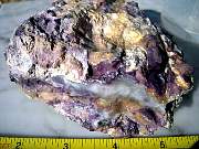 DSCN3689.JPG