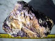 DSCN3690.JPG
