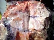 DSCN3697.JPG