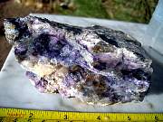 DSCN3698.JPG
