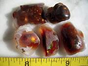 DSCN3749.JPG