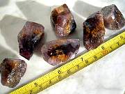 DSCN3786.JPG