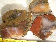 DSCN3810.JPG