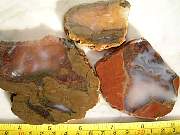 DSCN3811.JPG