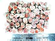 rough_coral-redhorn-01_0002.JPG
