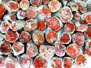rough_coral-redhorn-01_0003.JPG