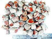 rough_coral-redhorn-01_0004.JPG