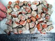 rough_coral-redhorn-01_0004.JPG
