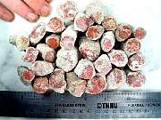 rough_coral-redhorn-02_0002.JPG