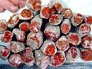 rough_coral-redhorn-02_0003.JPG