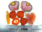 rough_agate-coyamito-01_0001.JPG