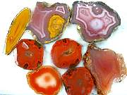 rough_agate-coyamito-01_0003.JPG