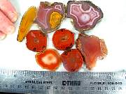 rough_agate-coyamito-01_0004.JPG