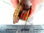 rough_agate-coyamito-01_0005.JPG