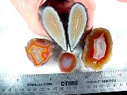 rough_agate-coyamito-02_0001.JPG