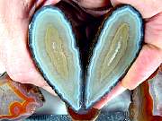 rough_agate-coyamito-02_0002.JPG