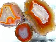 rough_agate-coyamito-02_0003.JPG