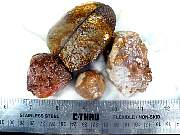 rough_agate-coyamito-02_0004.JPG