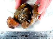 rough_agate-coyamito-02_0005.JPG