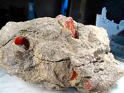 rough_coral-redhorn-01_0002.JPG