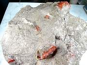 rough_coral-redhorn-01_0004.JPG