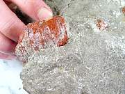 rough_coral-redhorn-01_0005.JPG