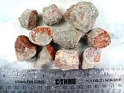 rough_coral-redhorn-02_0002.JPG