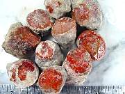 rough_coral-redhorn-02_0003.JPG