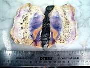 rough_opalfluorite-02_0001.JPG