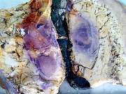 rough_opalfluorite-02_0003.JPG