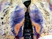rough_opalfluorite-02_0004.JPG