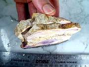 rough_opalfluorite-02_0005.JPG