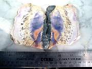 rough_opalfluorite-02_0006.JPG