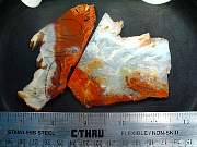 rough_agate-carey-01_0001.JPG
