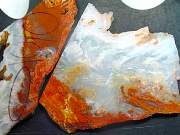 rough_agate-carey-01_0002.JPG