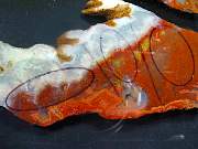 rough_agate-carey-01_0005.JPG