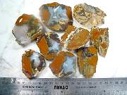 rough_agate-priday-01_0001.JPG