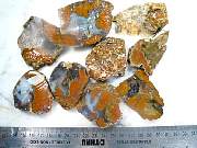 rough_agate-priday-01_0003.JPG