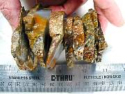 rough_agate-priday-01_0005.JPG
