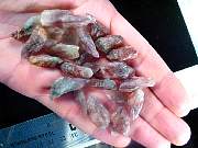 rough_cacoxenite-wands-01_0003.JPG