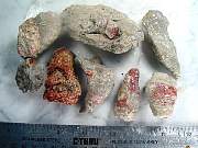 rough_coral-redhorn-01_0003.JPG