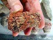 rough_coral-redhorn-01_0004.JPG