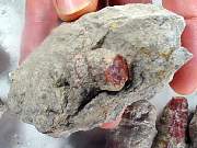 rough_coral-redhorn-01_0006.JPG