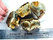 rough_jasper-tahoma-01_0001.JPG