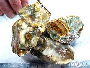 rough_jasper-tahoma-01_0003.JPG