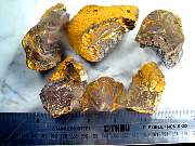 rough_opal-koroit-01_0000.JPG
