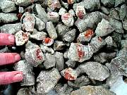rough_coral-redhorn-01_0003.JPG