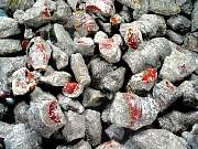 rough_coral-redhorn-01_0004.JPG