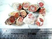 rough_coral-redhorn-02_0002.JPG